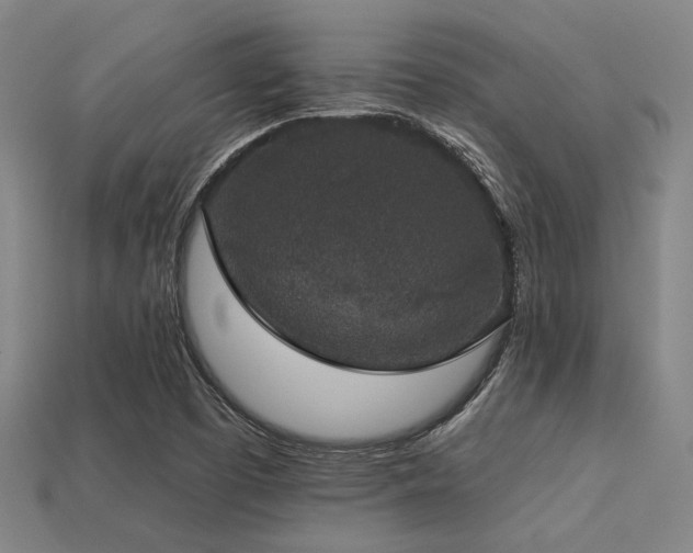 X0000113281457200909141215