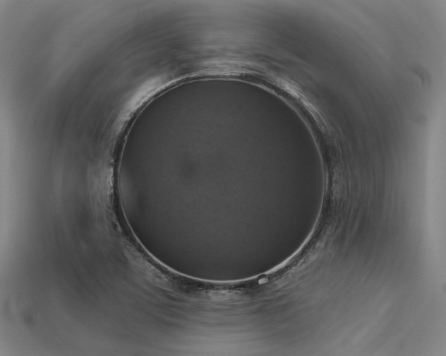 X0000113281459200909141215