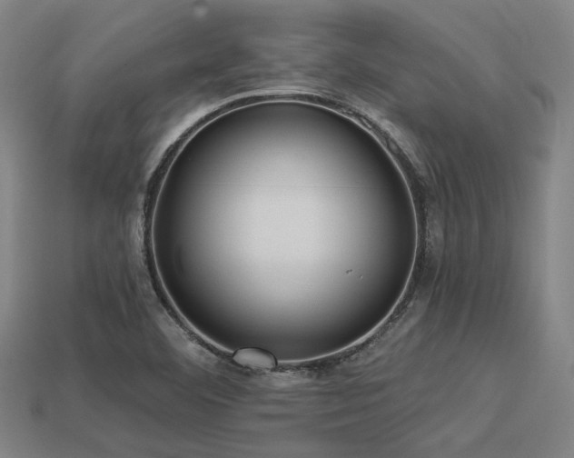 X0000113281460200909141215