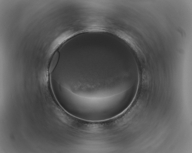 X0000113281461200909141215