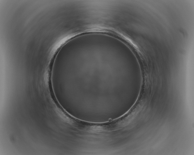 X0000113281463200909141215