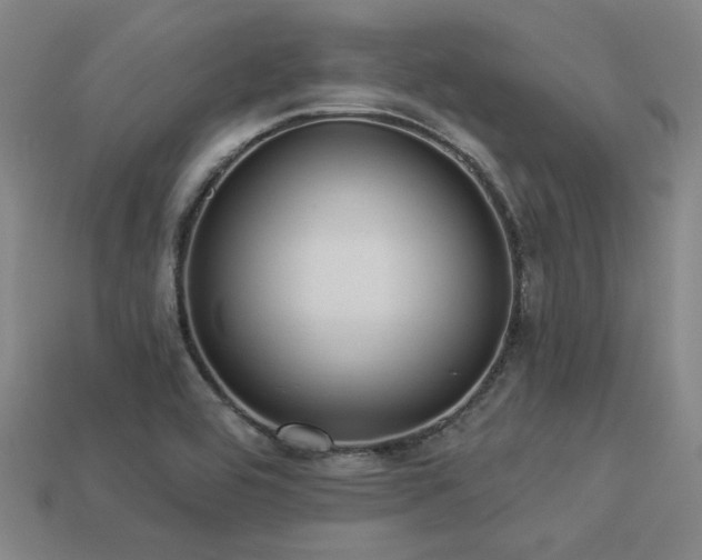 X0000113281464200909141215