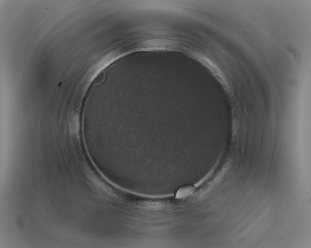 X0000113281465200909141215