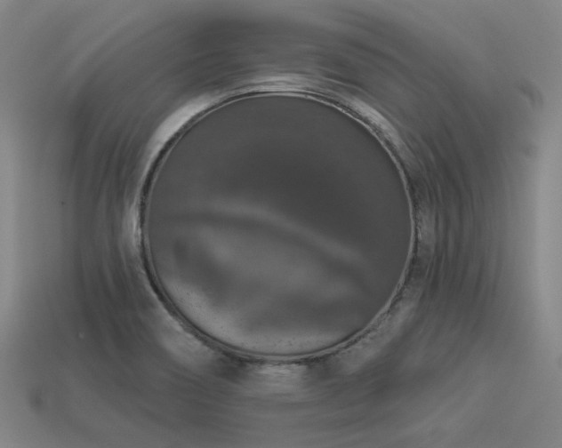 X0000113281466200909141215