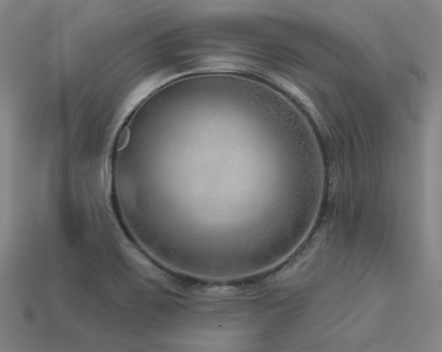 X0000113281467200909141215