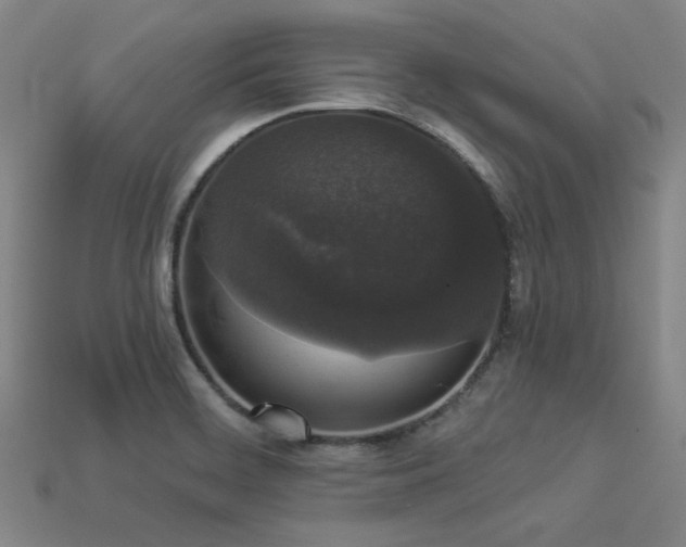 X0000113281468200909141215