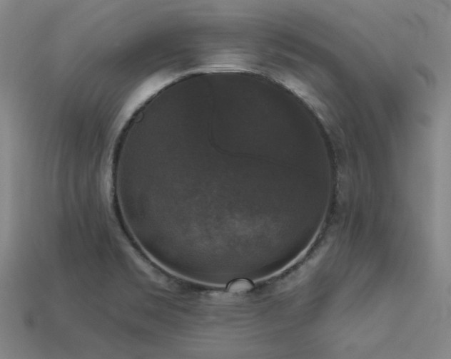 X0000113281469200909141215