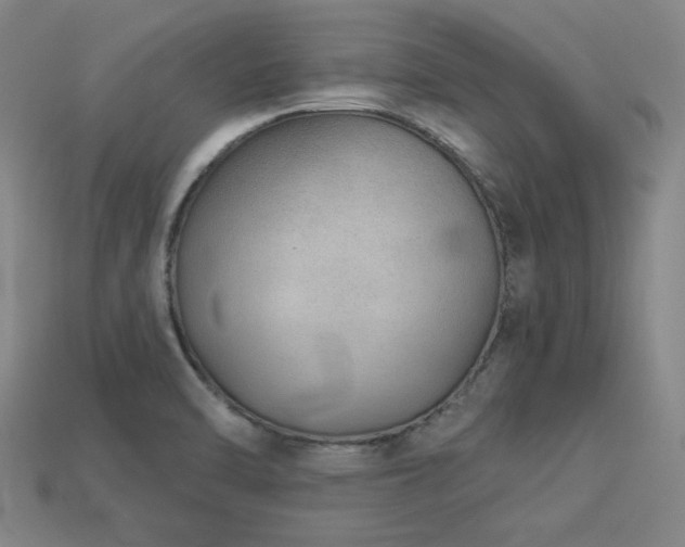 X0000113281470200909141215