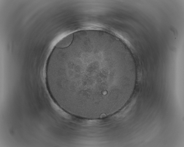 X0000113281471200909141215