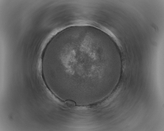 X0000113281472200909141215