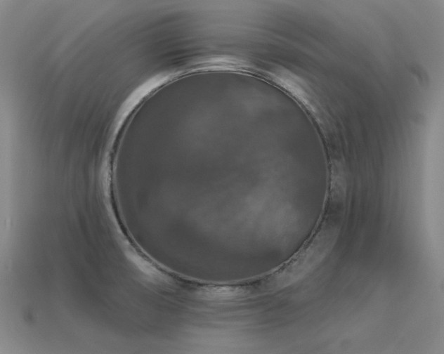 X0000113281474200909141215