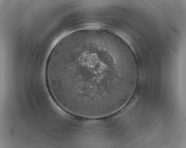 X0000113281475200909141215