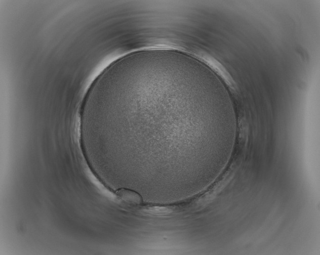 X0000113281476200909141215