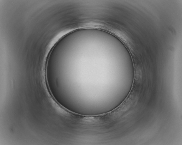 X0000113281478200909141215