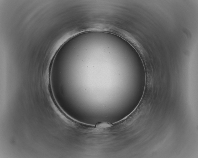 X0000113281479200909141215