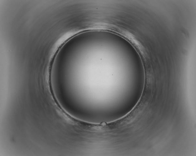 X0000113281480200909141215