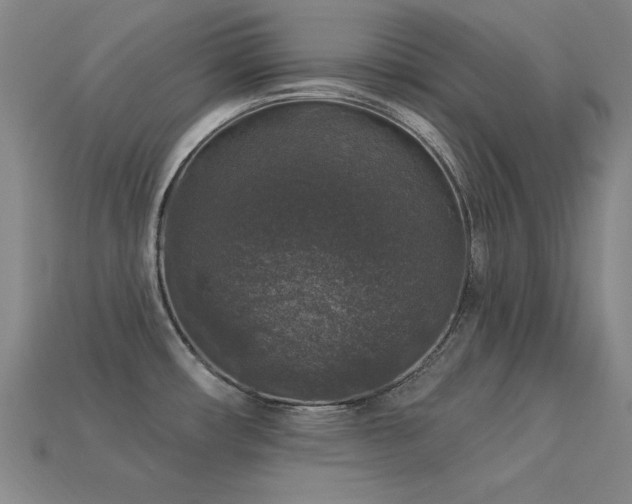 X0000113281482200909141215