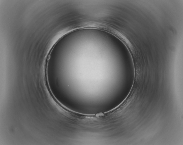 X0000113281483200909141215