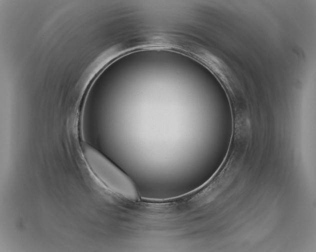 X0000113281484200909141215