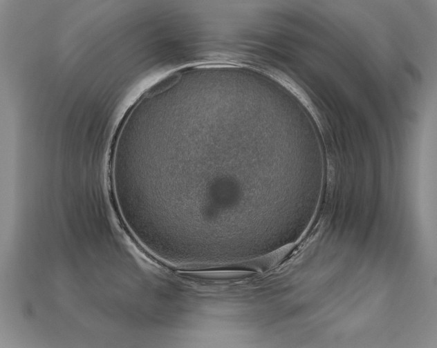 X0000113281485200909141215