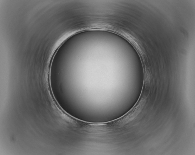 X0000113281486200909141215