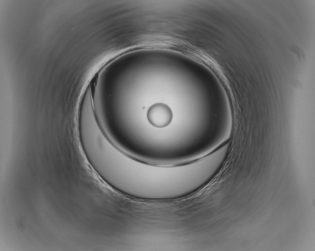 X0000113281488200909141215