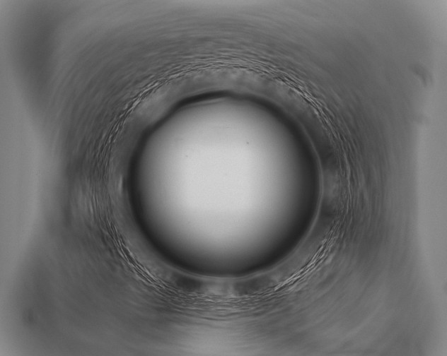 X0000113281489200909141214