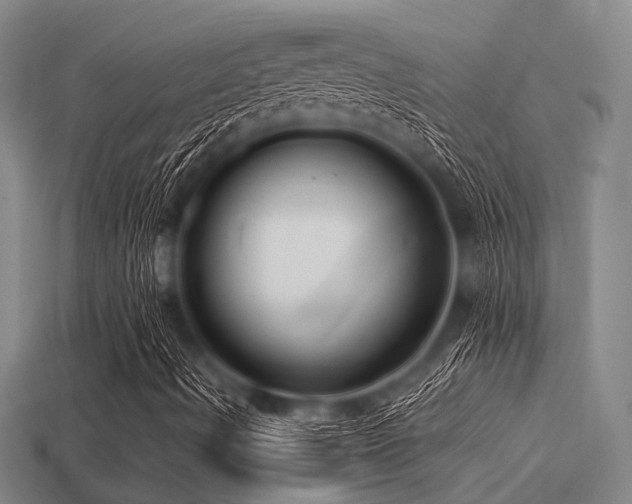 X0000113281490200909141214