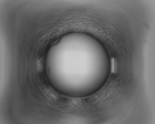 X0000113281491200909141214