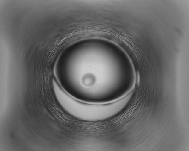 X0000113281492200909141214