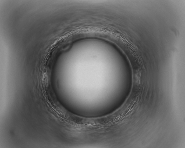 X0000113281493200909141214