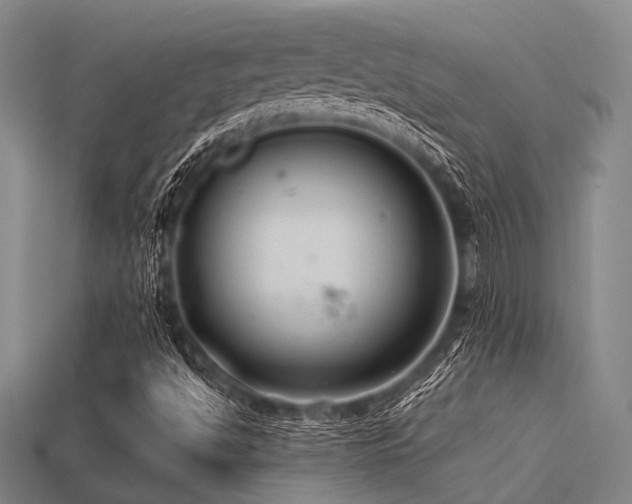 X0000113281494200909141214