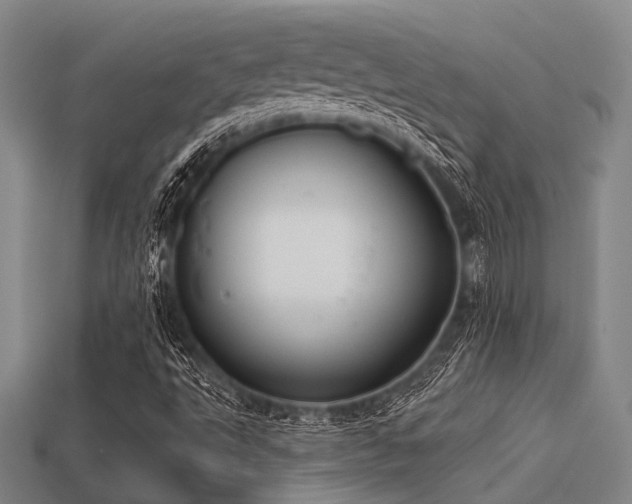 X0000113281495200909141214