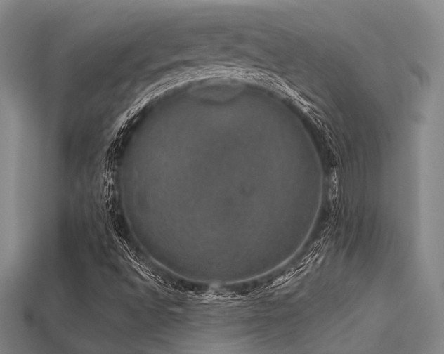 X0000113281496200909141214