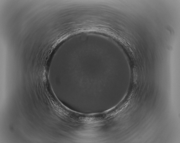 X0000113281497200909141214