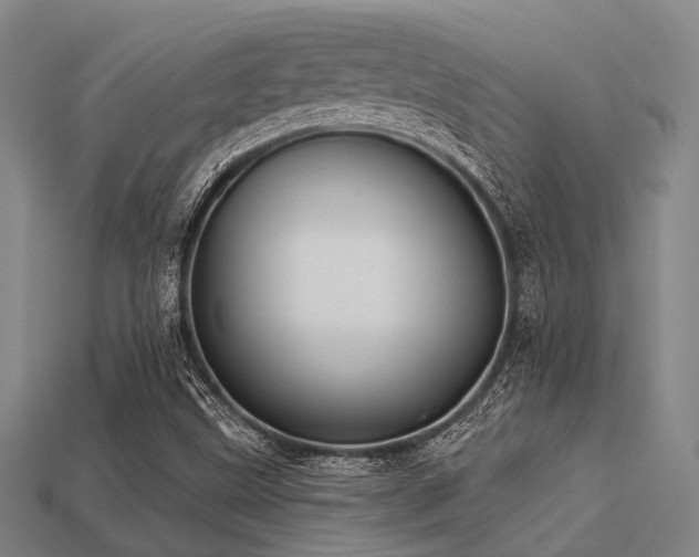 X0000113281499200909141214