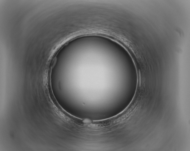 X0000113281500200909141214