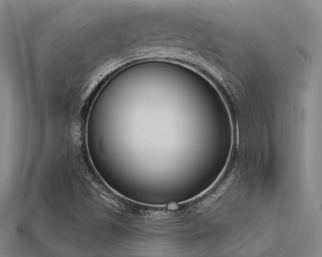 X0000113281501200909141214