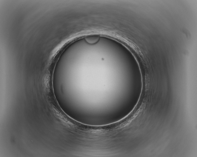 X0000113281502200909141214