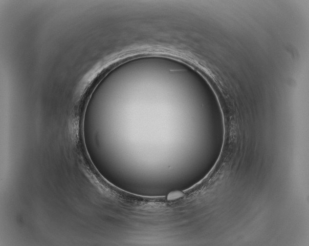 X0000113281503200909141214