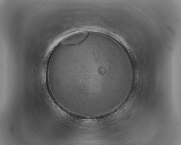 X0000113281504200909141214