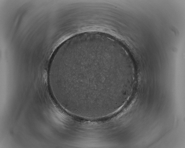 X0000113281505200909141214