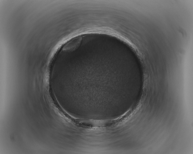 X0000113281506200909141214