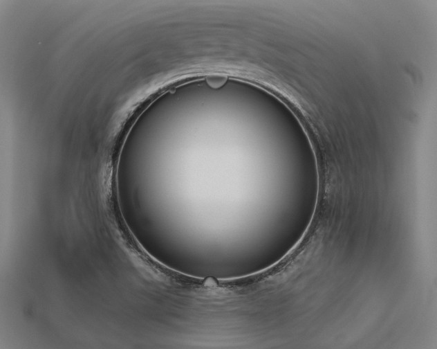 X0000113281507200909141214