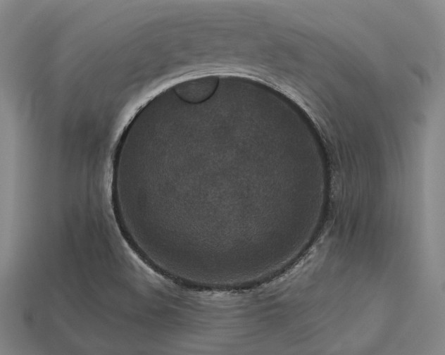 X0000113281508200909141214