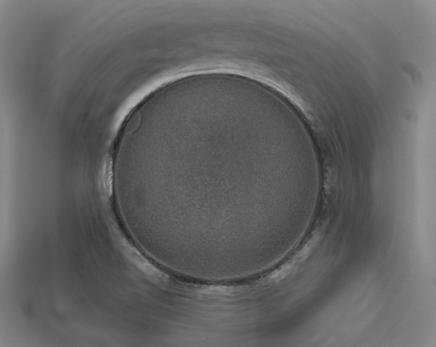 X0000113281510200909141214