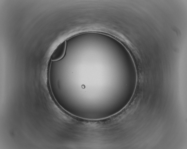 X0000113281512200909141214