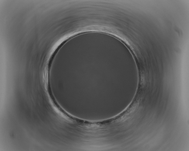 X0000113281515200909141214