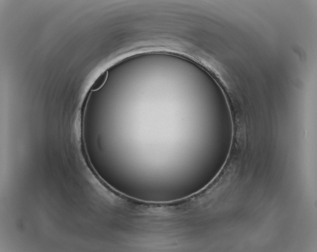 X0000113281516200909141214