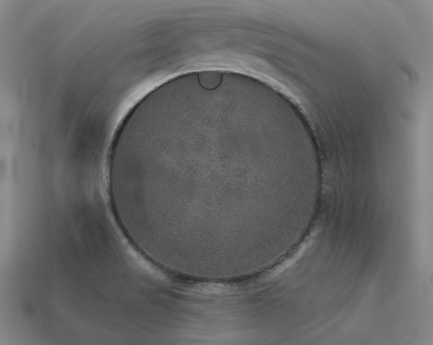 X0000113281517200909141214